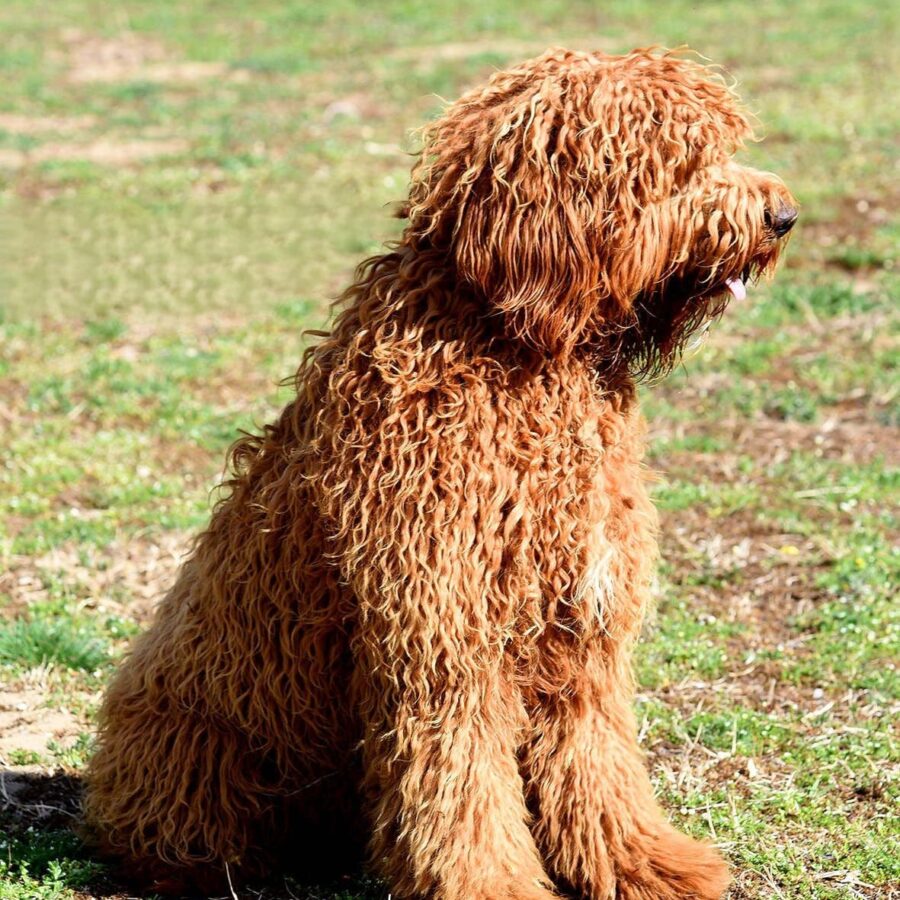 6f35b78e-a9cb-41a0-9294-a52aa7d434b7